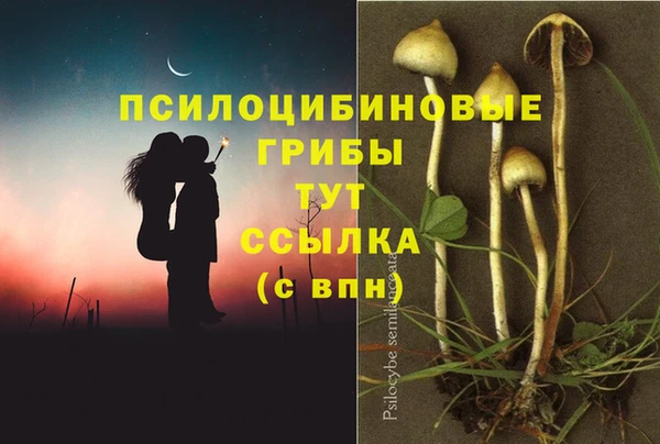 дживик Армянск