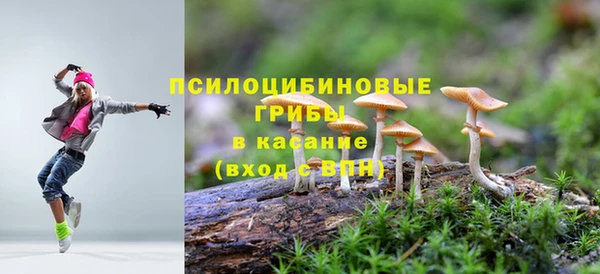каннабис Алексеевка