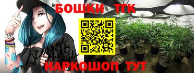 прущие крисы Малгобек