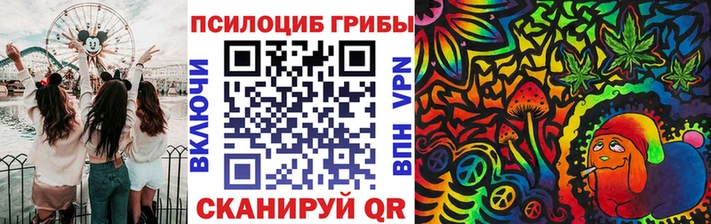 закладка  Кизилюрт  Галлюциногенные грибы мухоморы 